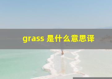 grass 是什么意思译